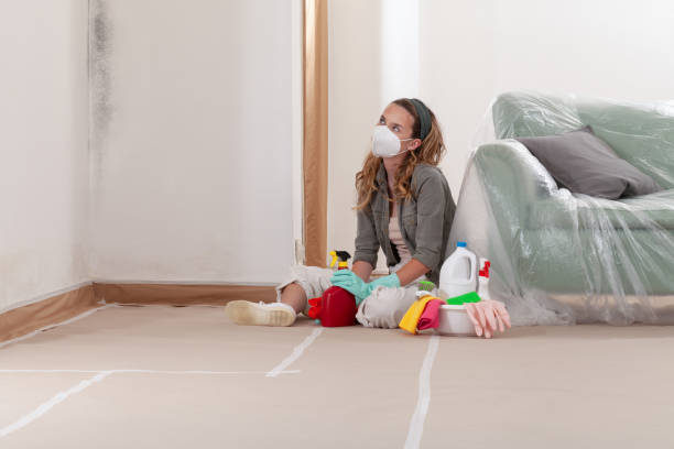 Reliable Black Mold Removal contractor in Wynnewood, PA by WQB Mold Removal